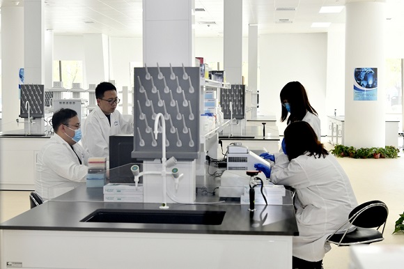 1623131430776009081.jpg 1.jpg