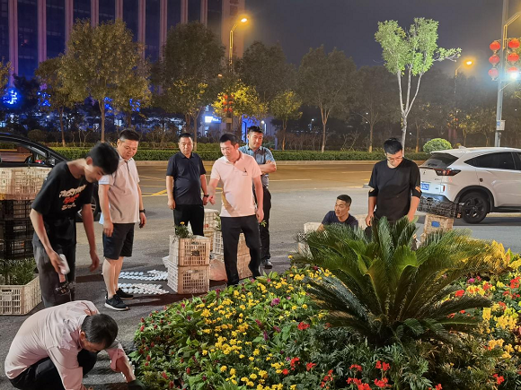 图片2.png