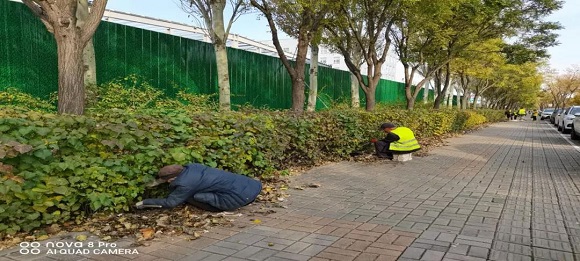 1639474173354098386.jpg 3.jpg