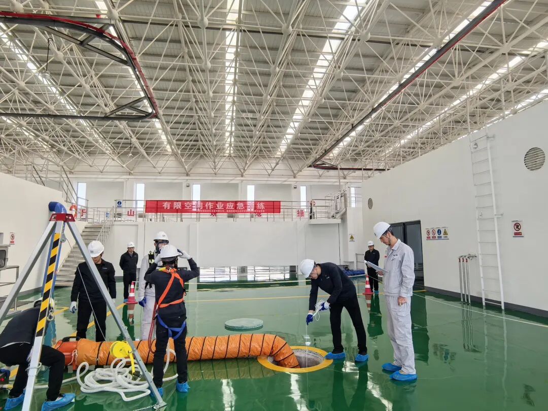 1774487142717016490.jpg 1774487142717016490.jpg